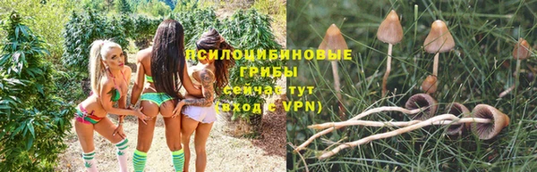 прущие крисы Алзамай