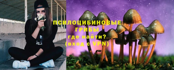 spice Алексеевка
