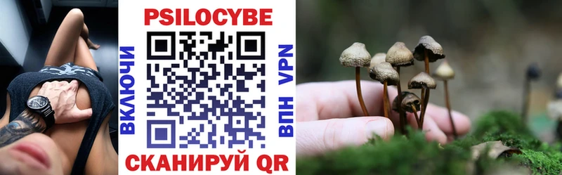 Псилоцибиновые грибы Magic Shrooms  darknet официальный сайт  Моршанск 